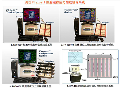 flexer-cell细胞组织应力（拉压流体剪切）加载培养系统