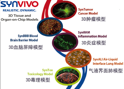 synvivo三维组织模型芯片