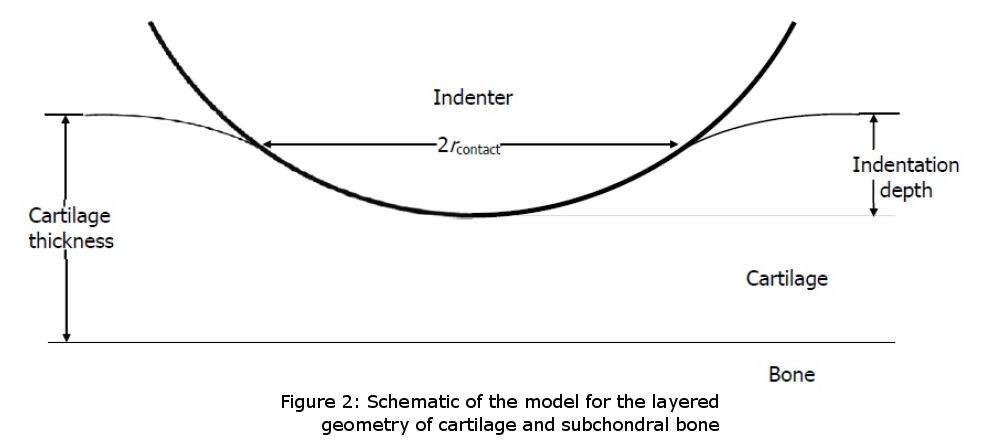 MachOne Analysis - Elastic Model in Indentation - Cartilage & Subchondral bone