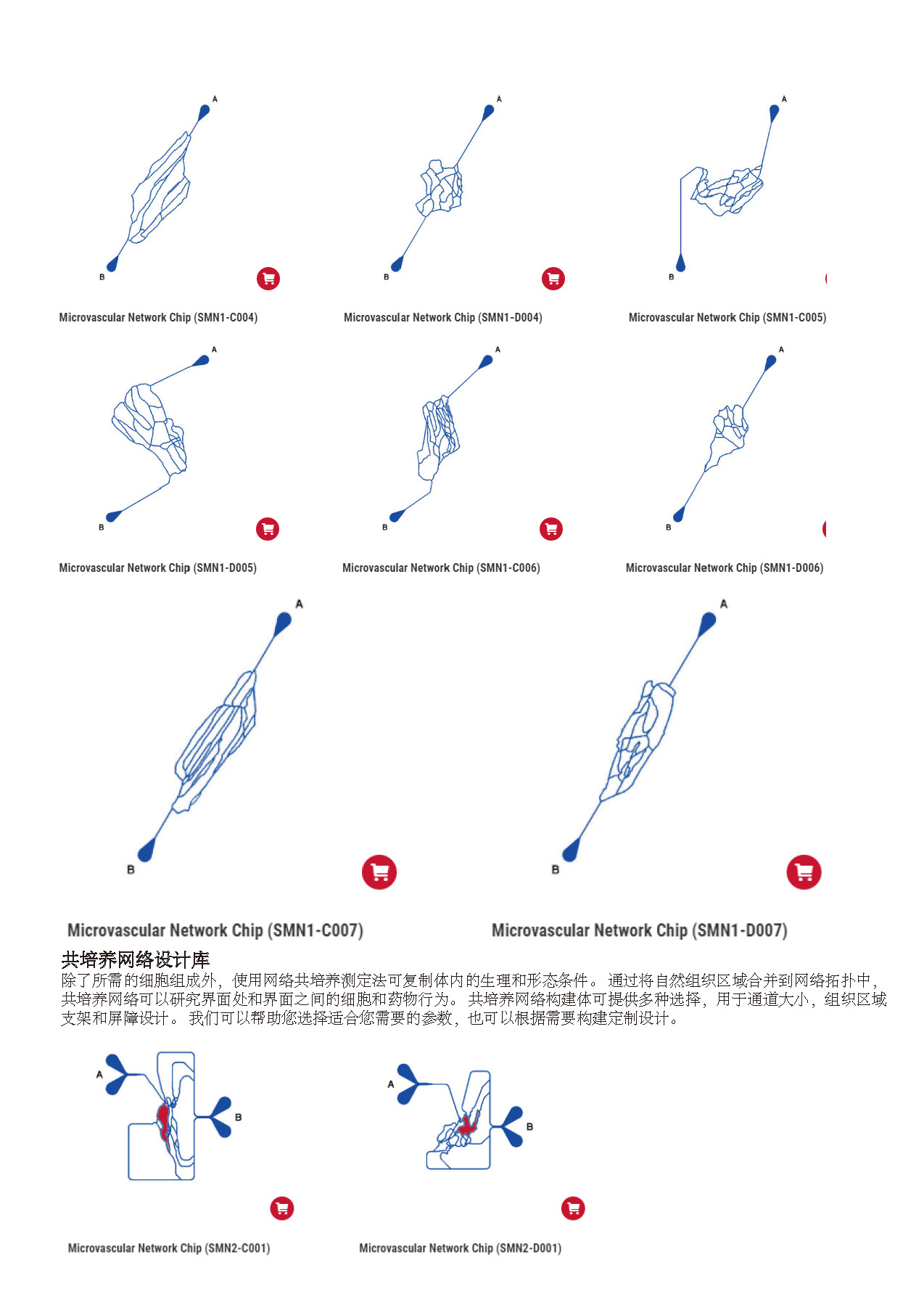 synvivo血管芯片，微流控芯片模拟微血管网络模拟任何组织内部关于流量、剪切和压力的循环，芯片中生长的细胞保留了与组织中发现的细胞相似的生物表型，可为实时研究细胞行为、药物递送和药物发现提供生物学上逼真的微环境