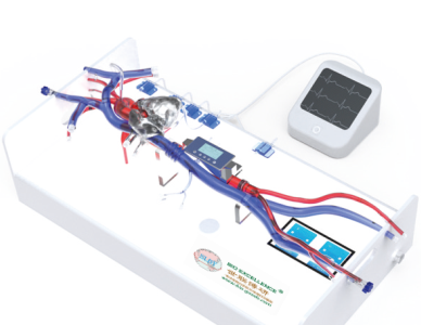 医学仿真模拟装置