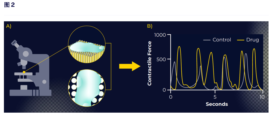 1750232610679017877.png image.png