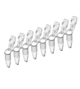 艾本德0.1ml八连管含盖 Eppendorf 高质量标准要求生产