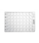 细胞培养板，48 孔,0030723015