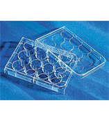 康宁 12孔细胞培养板