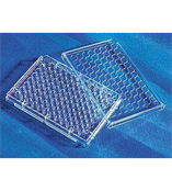 康宁 96孔细胞培养板