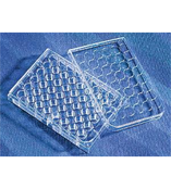 康宁 48孔细胞培养板