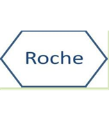 0.4ml Hp DNA转染试剂