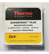 Thermo 进口玻片 防脱载玻片 高纯度 耐腐蚀载玻片 玻片 P4951