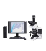 OLYMPUS奥林巴斯BX53生物显微镜 三目/荧光/相差