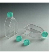 Eppendorf 细胞培养瓶 0030710010