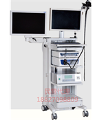 olympus奥林巴斯日本ENF-T3纤维鼻咽喉镜盛世达医疗