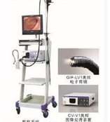 奥林巴斯电子肠胃镜