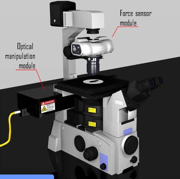 ,Cygnium◆ G-422,LUNAM T-40i,DEIMUS T-10i细胞组织力学侧量光镊,细胞力学光镊，多光阱细胞力学生物分子力学光镊，单细胞力学光镊,单分子力谱光镊，马达蛋白光镊，微流变学光镊