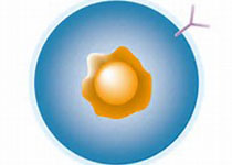 1524187241516361.jpeg dagj.jpg