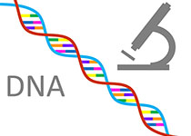 dna-1020670__340.jpg